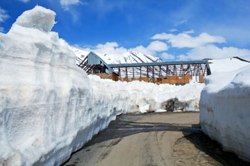 Manali Sightseeing